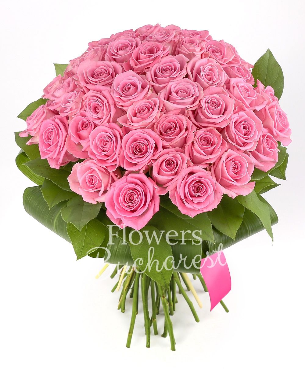 41 pink roses, greenery