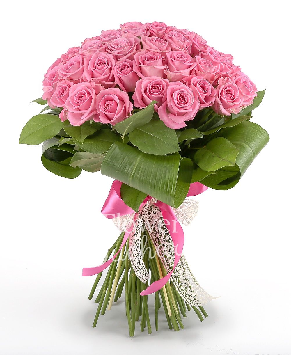 41 pink roses, greenery