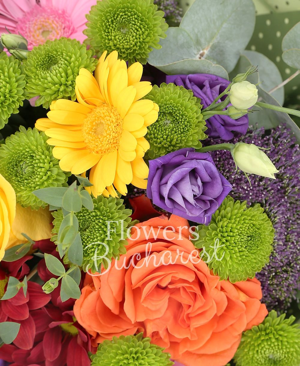 3 multicolored roses, 5 multicolored gerberas, 3 purple lisianthus, 3 purple trachelium, 3 green santini, 1 red chrysanthemum, greenery