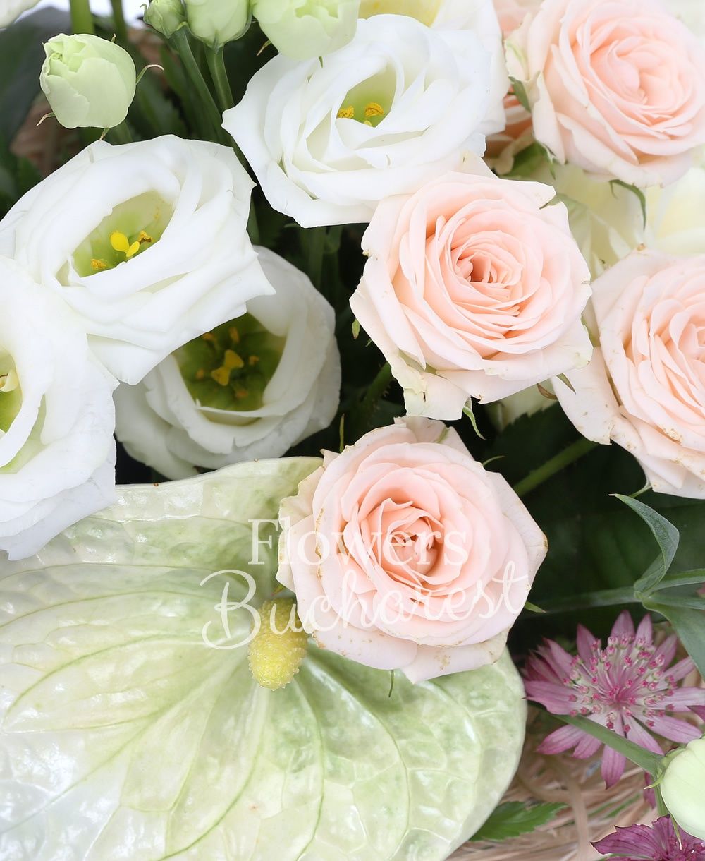 3 white anthurium, 3 cream miniroses, 3 white lisianthus, 3 white roses, 3 pink astranția, greenery