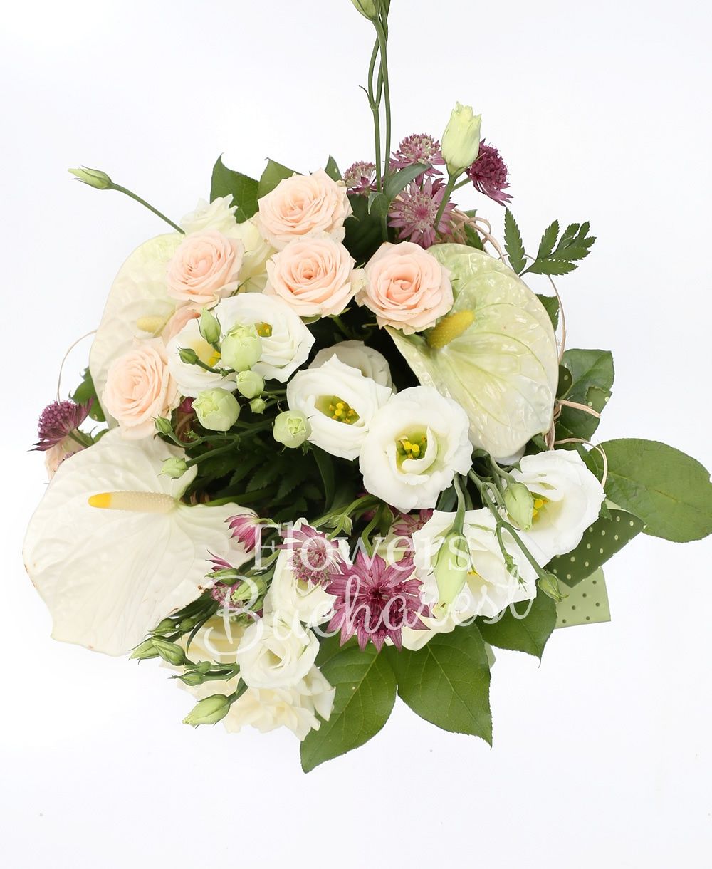 3 white anthurium, 3 cream miniroses, 3 white lisianthus, 3 white roses, 3 pink astranția, greenery