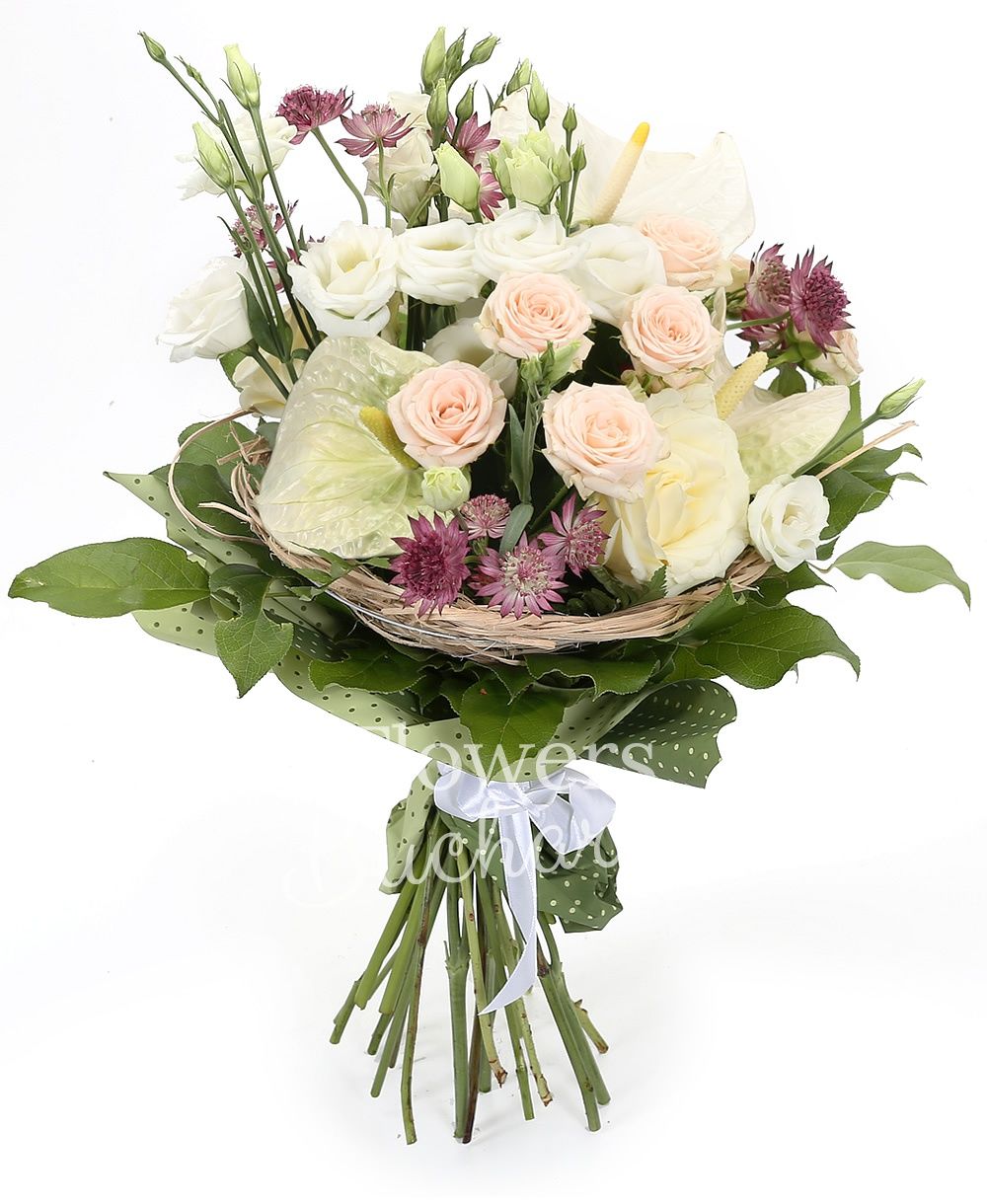 3 white anthurium, 3 cream miniroses, 3 white lisianthus, 3 white roses, 3 pink astranția, greenery