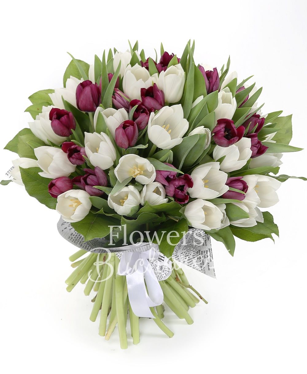 30 garnet tulips, 20 white tulips, greenery