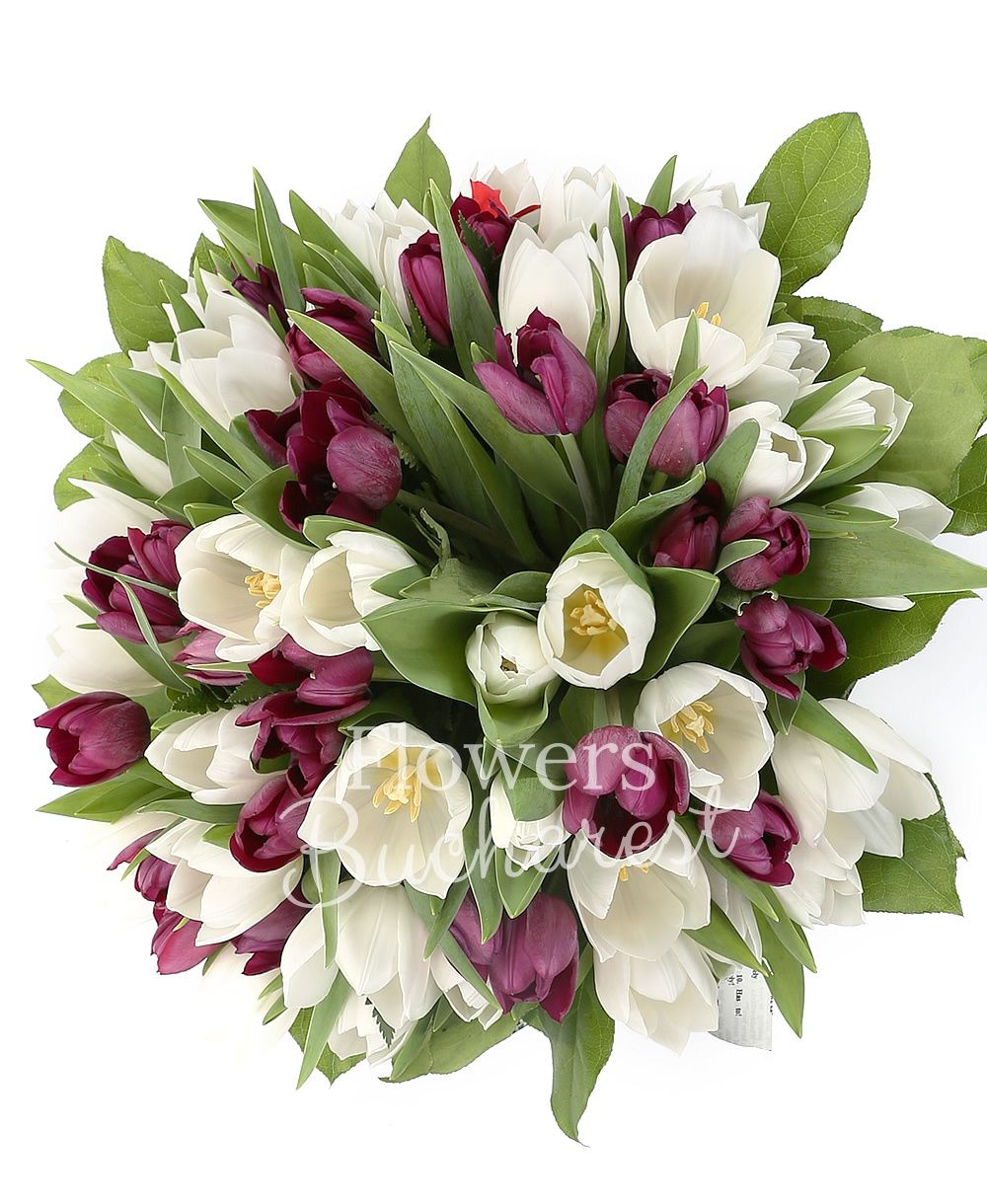 30 garnet tulips, 20 white tulips, greenery