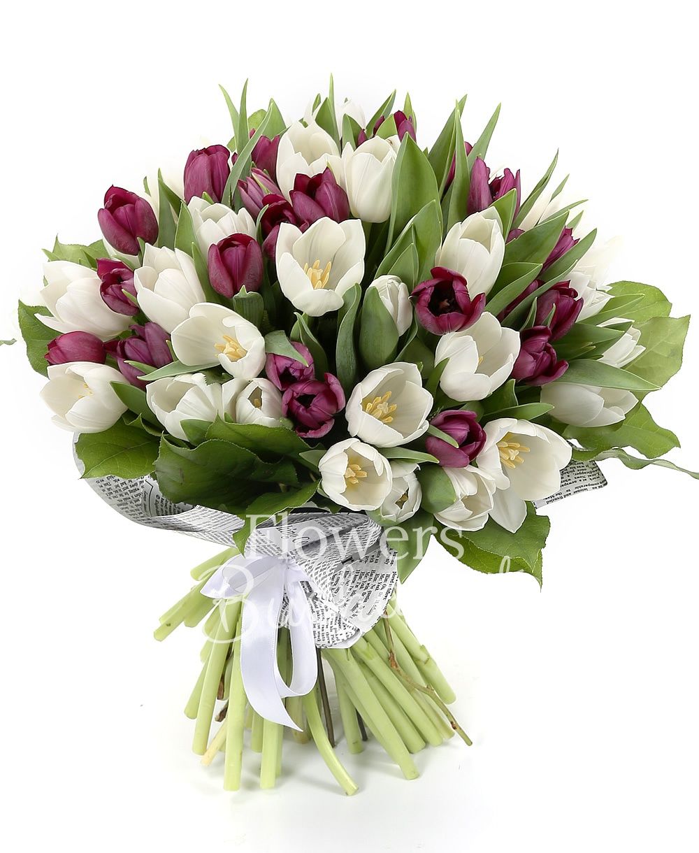 30 garnet tulips, 20 white tulips, greenery