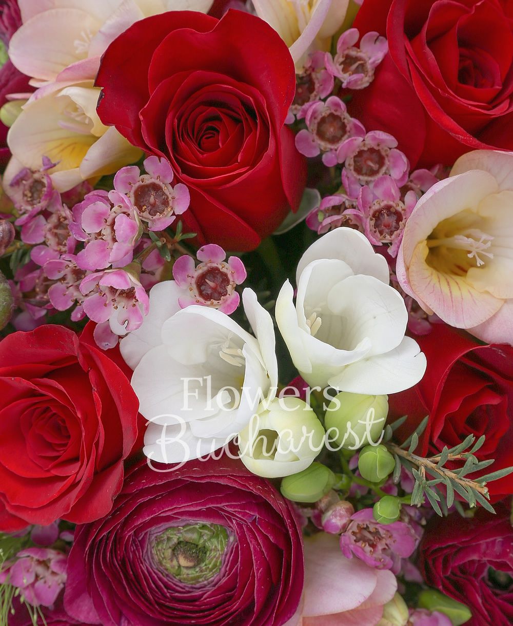 9 red roses, 10 garnet ranunculus, 10 white freesias, 5 waxflower, greenery