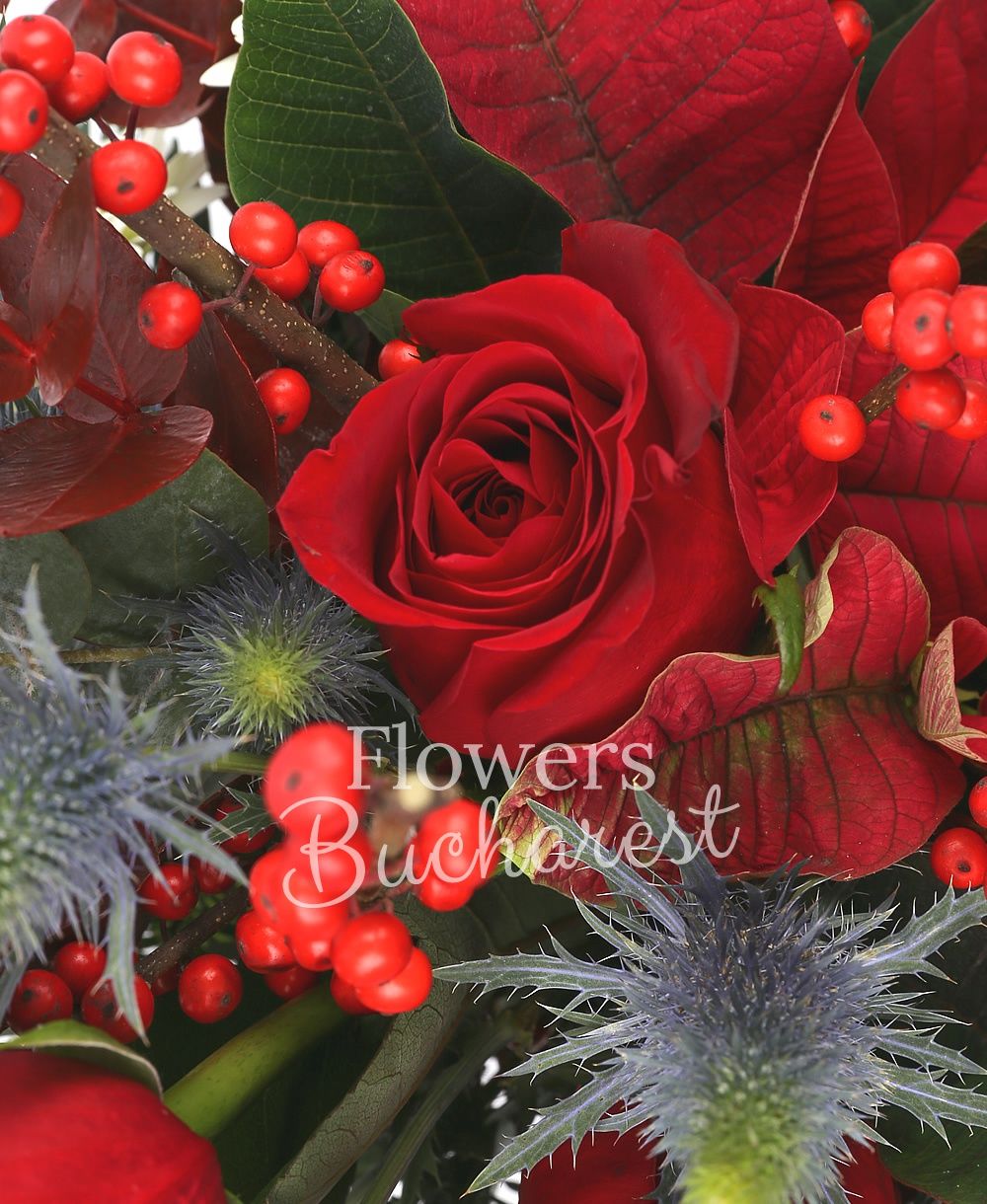 3 red roses, 3 white gerbera, poinsettia, 3 eryngium, ilex, greenery
