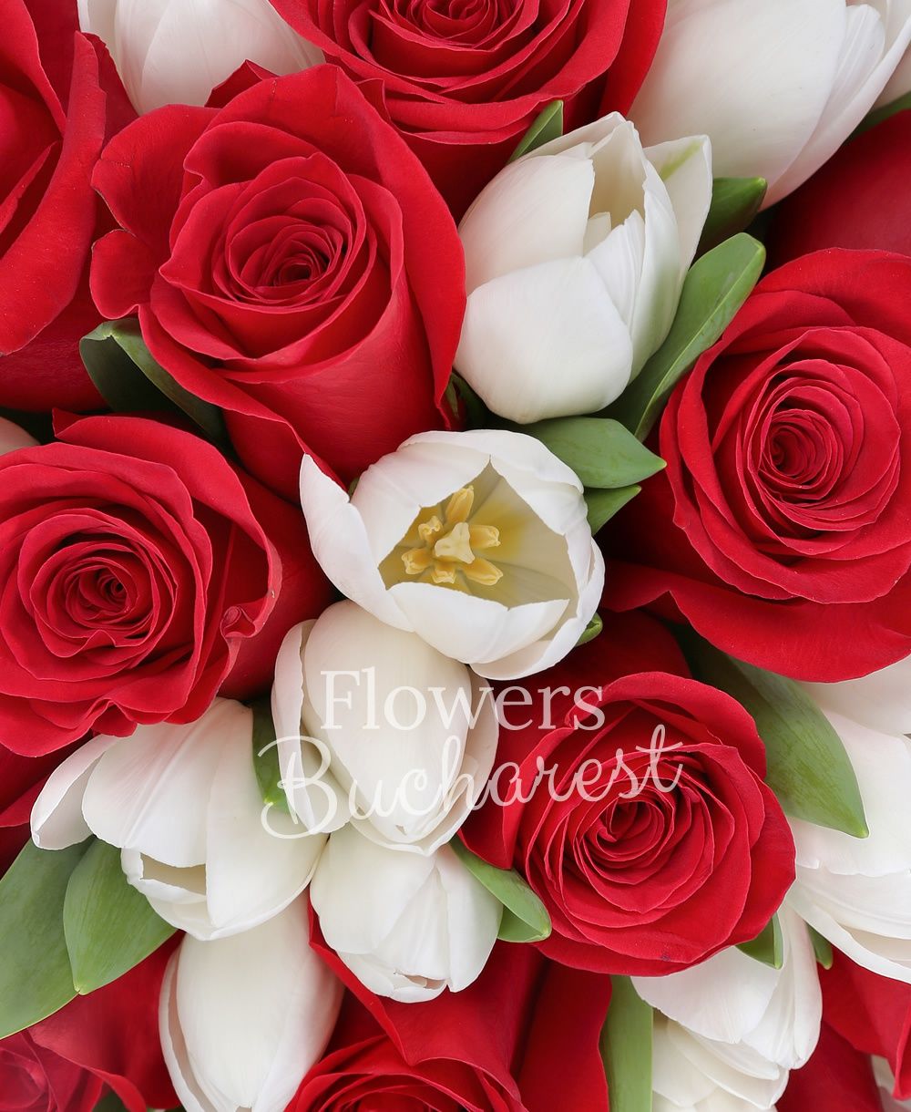 25 red roses, 30 white tulips, greenery