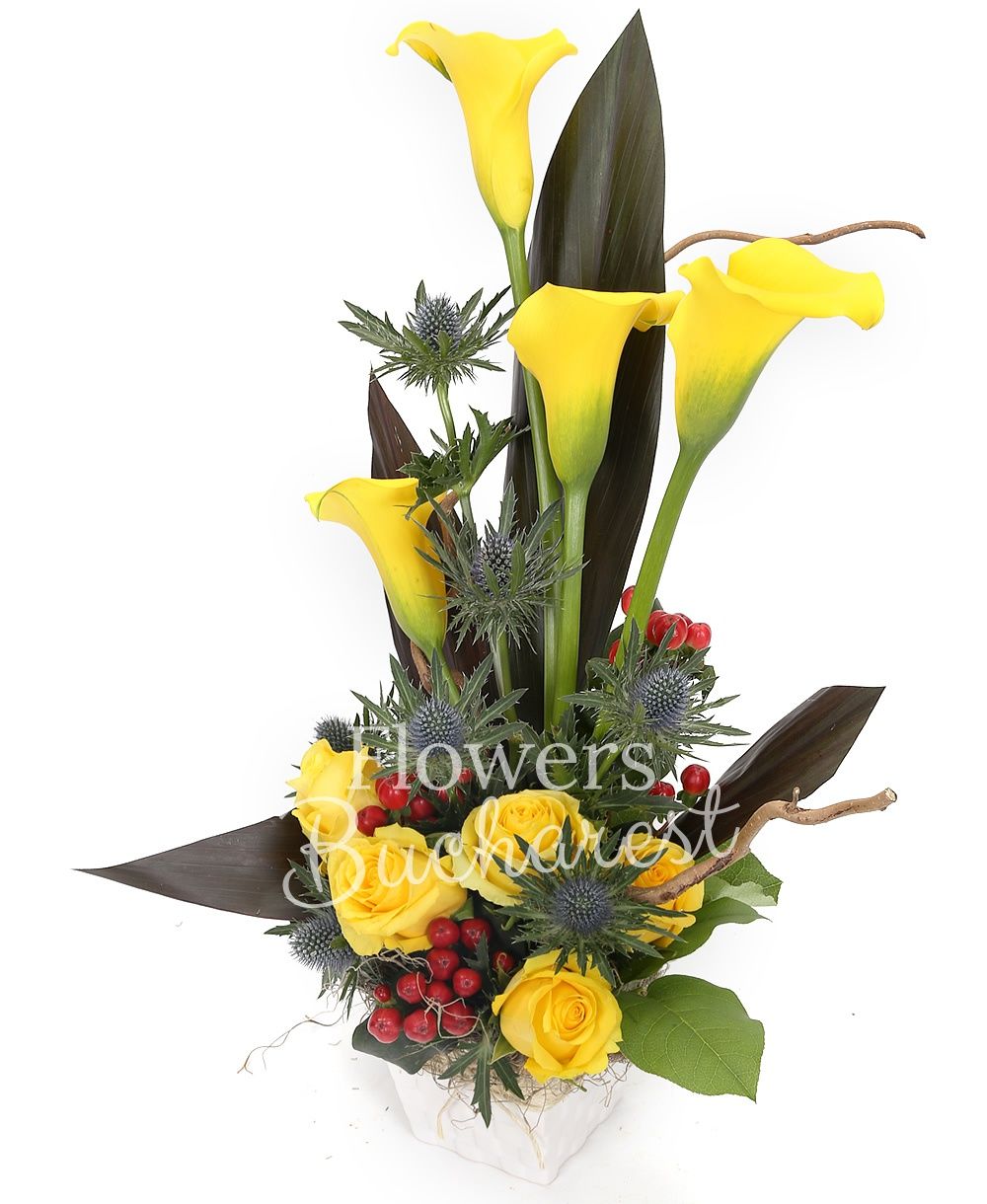 4 yellow cala, 5 yellow roses, 3 red hypericum, 2 eryngium, greenery