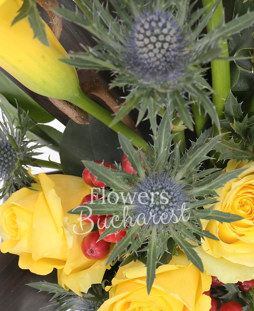 4 yellow cala, 5 yellow roses, 3 red hypericum, 2 eryngium, greenery