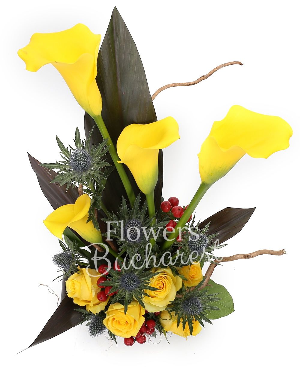 4 yellow cala, 5 yellow roses, 3 red hypericum, 2 eryngium, greenery