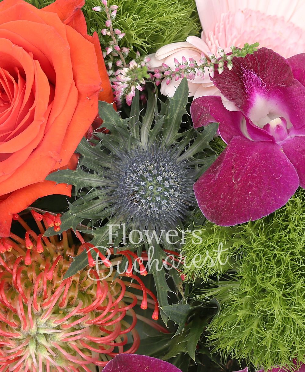 1 orange rose, protea, 1 eryngium, 1 dendrobium orchid, 1 pink gerbera, 2 green carnations, greenery