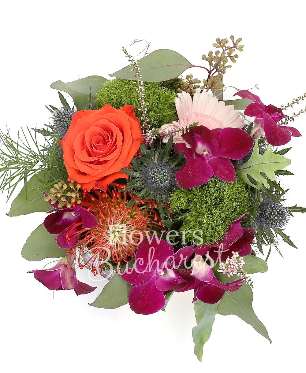 1 orange rose, protea, 1 eryngium, 1 dendrobium orchid, 1 pink gerbera, 2 green carnations, greenery