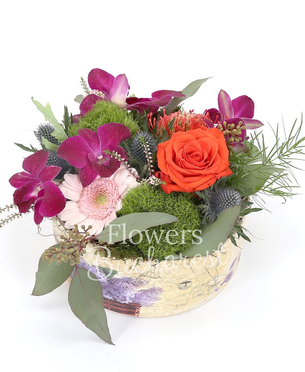 1 orange rose, protea, 1 eryngium, 1 dendrobium orchid, 1 pink gerbera, 2 green carnations, greenery