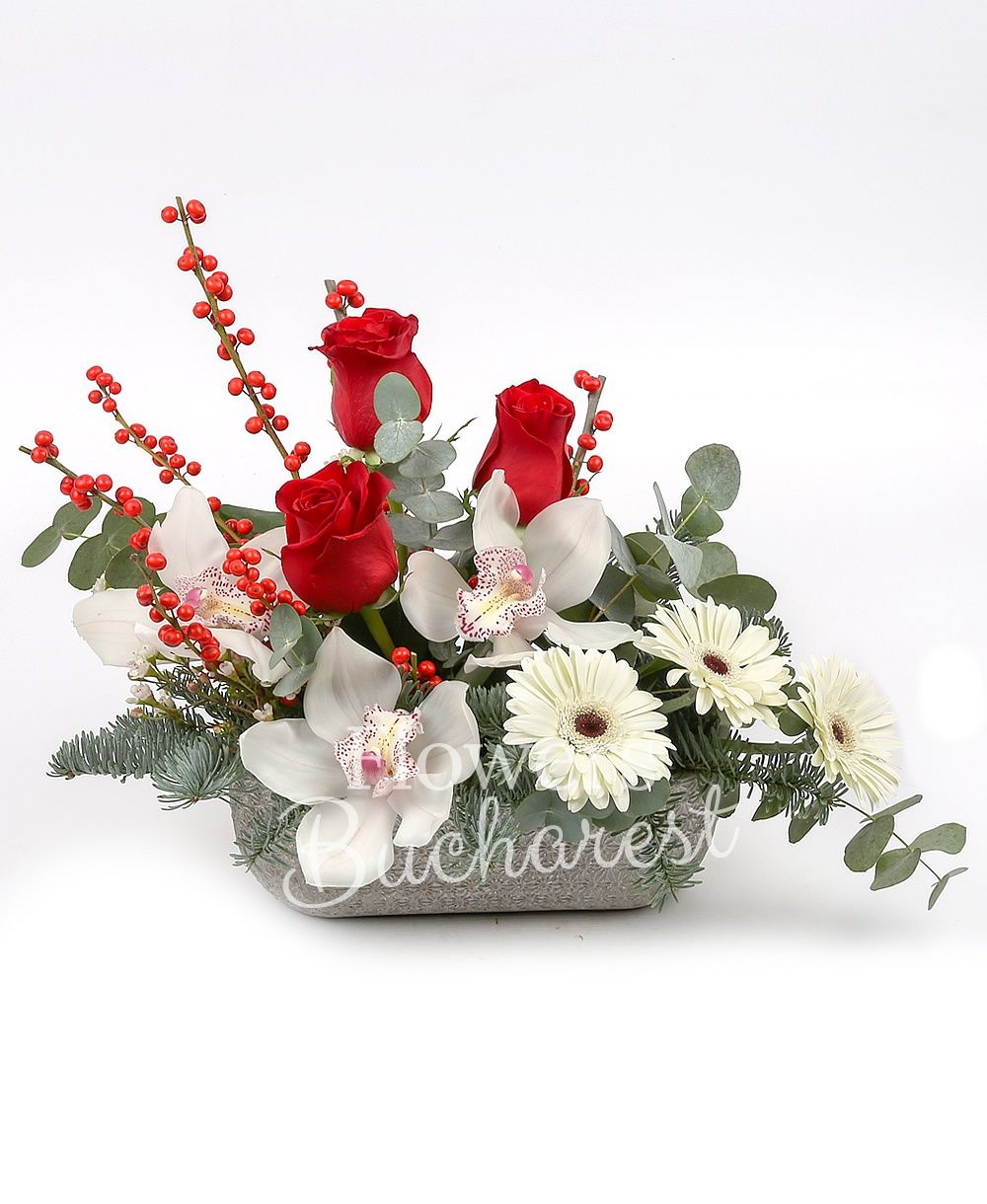 3 red roses, white cymbidium, 3 white gerbera, ilex, waxflower, fir, greenery, vase