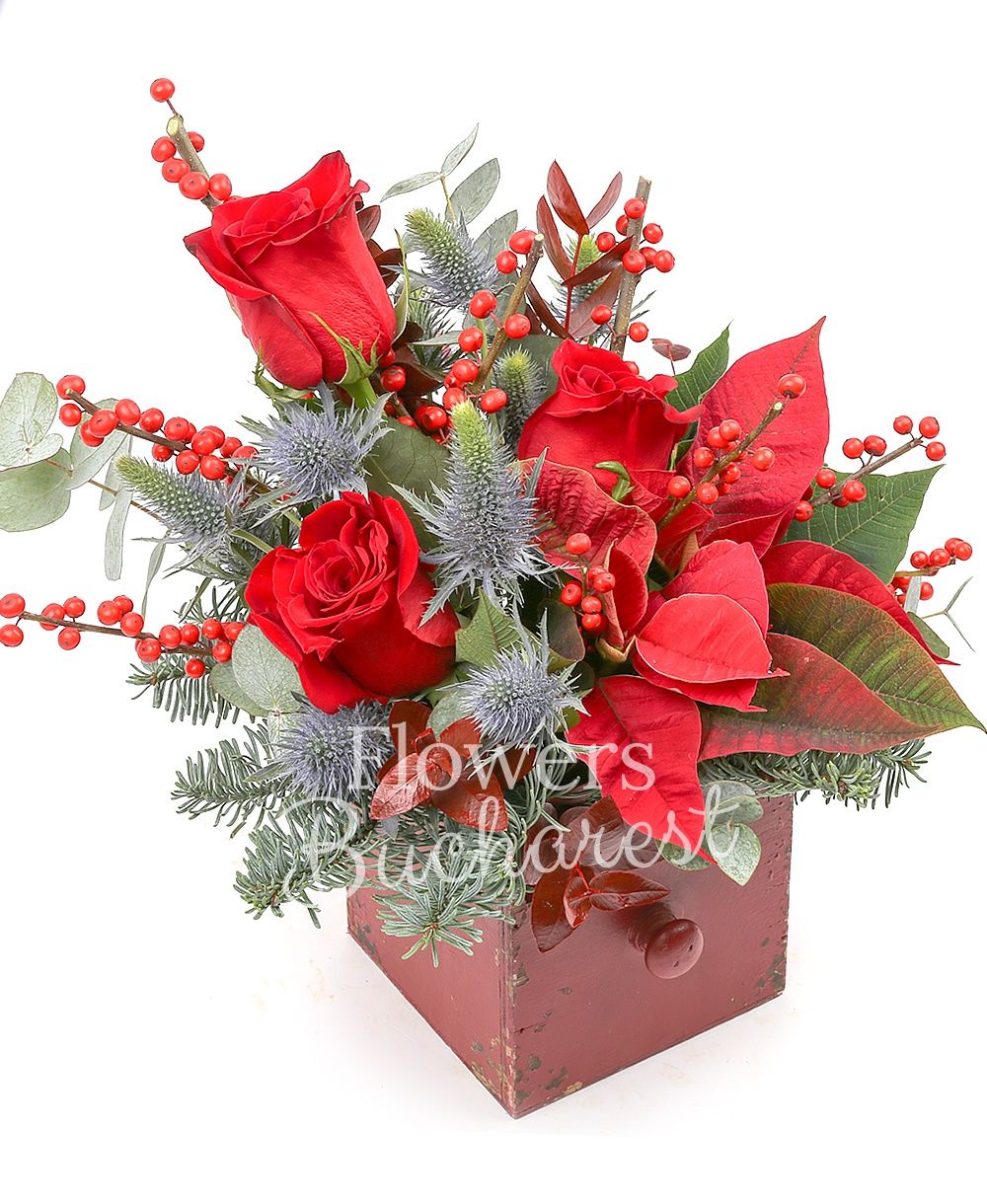 3 red roses, 3 gerbera white, poinsettia, 3 eryngium, ilex, fir, greenery