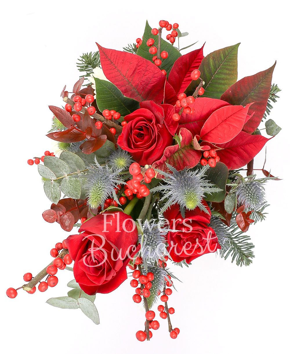 3 red roses, 3 gerbera white, poinsettia, 3 eryngium, ilex, fir, greenery