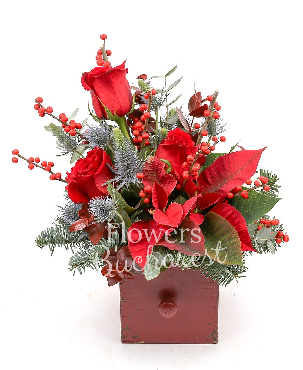 3 red roses, 3 gerbera white, poinsettia, 3 eryngium, ilex, fir, greenery