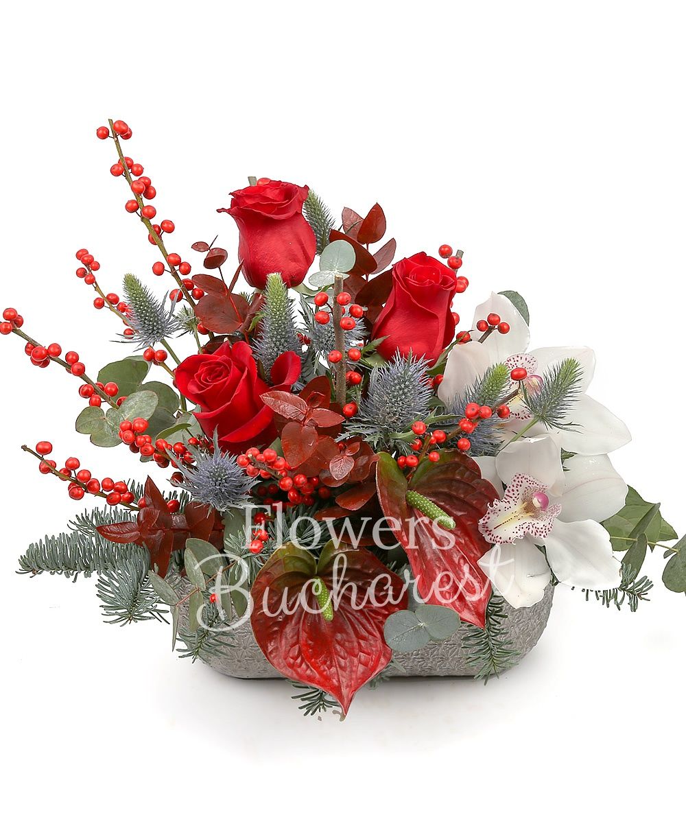 3 red roses, 1 white cymbidium, 2 red anthurium, eryngium, ilex, fir, greenery, vase