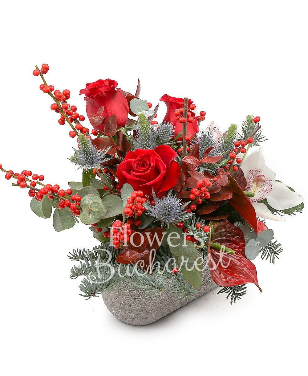 3 red roses, 1 white cymbidium, 2 red anthurium, eryngium, ilex, fir, greenery, vase