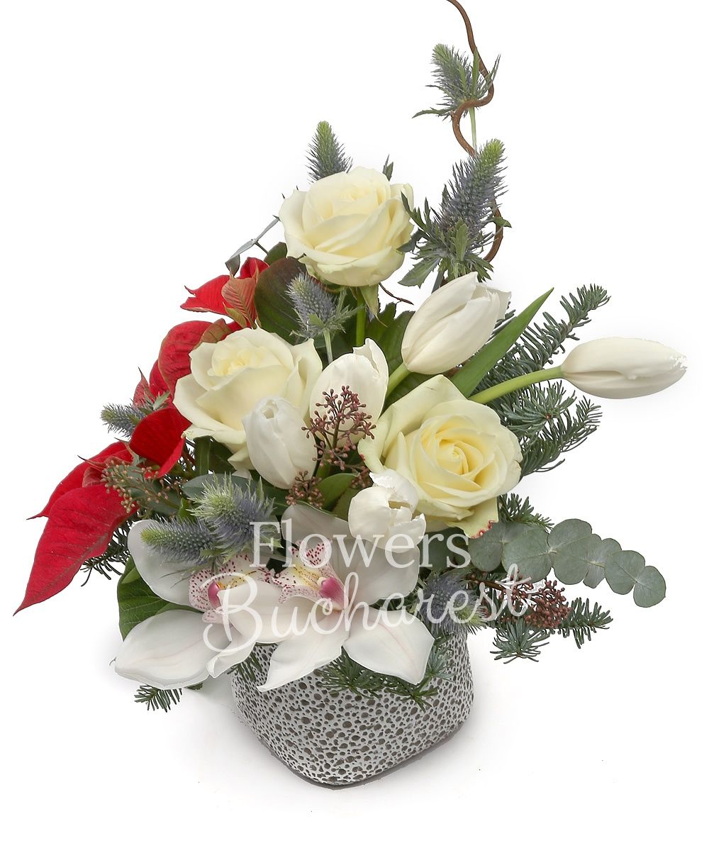 3 white roses, 5 white tulips, 1 white cymbidium, poinsettia, eryngium, corylus, fir, greenery, vase