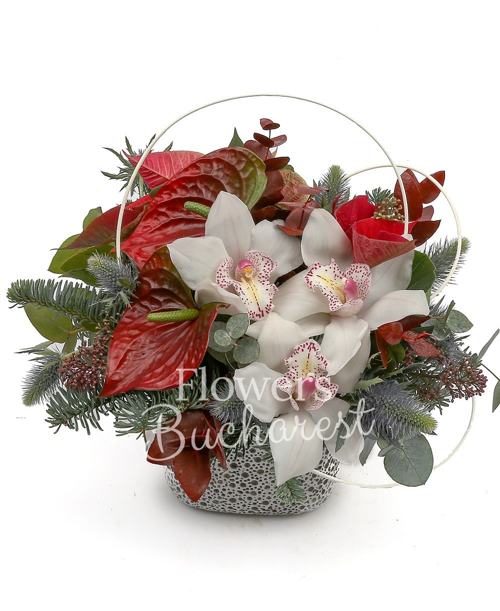 1 white cymbidium, 2 red anthurium, poinsettia, fir, greenery, vase