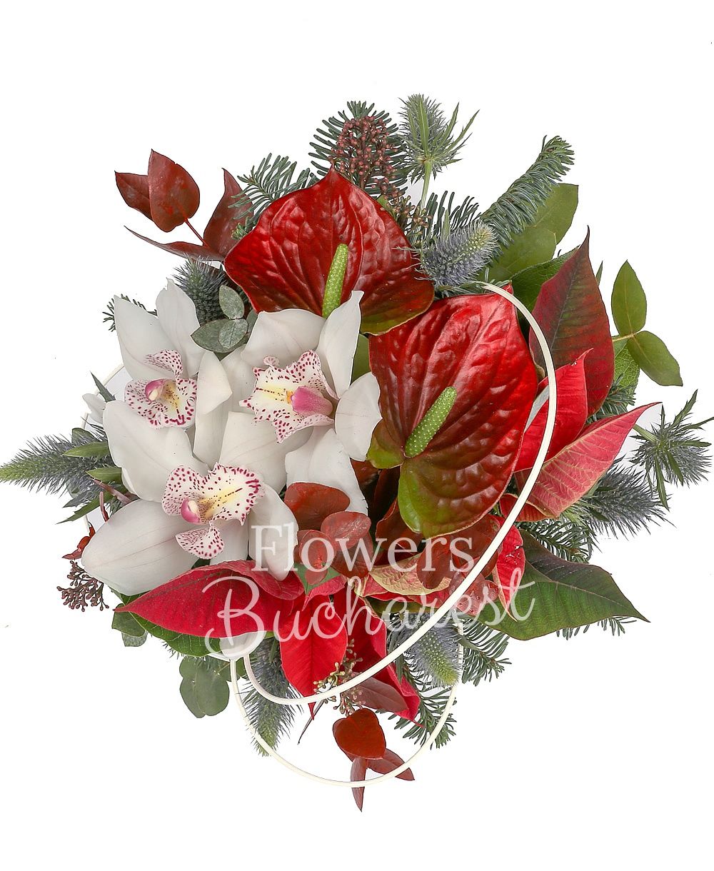 1 white cymbidium, 2 red anthurium, poinsettia, fir, greenery, vase