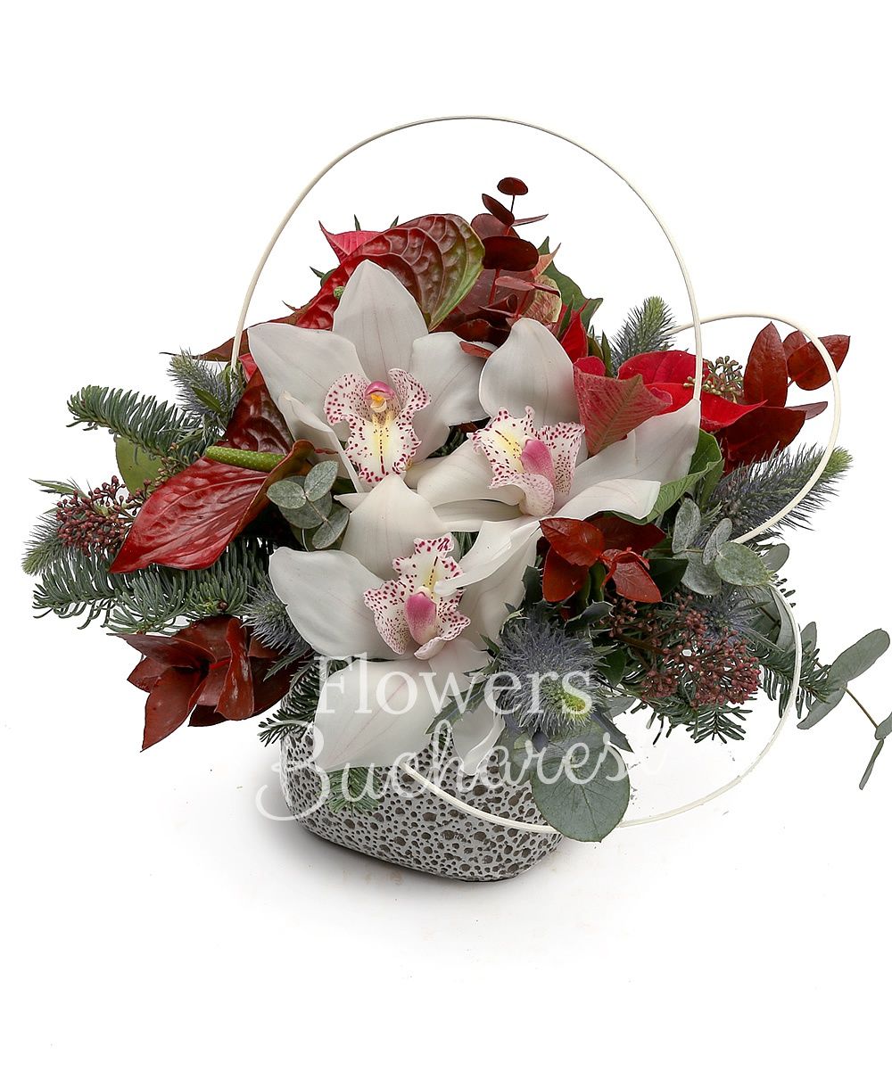 1 white cymbidium, 2 red anthurium, poinsettia, fir, greenery, vase