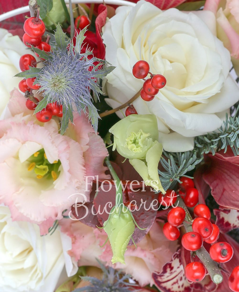 3 white roses, 1 cymbidium, 3 pink lisianthus, ilex, eryngium, poinsettia, fir, curly, vas