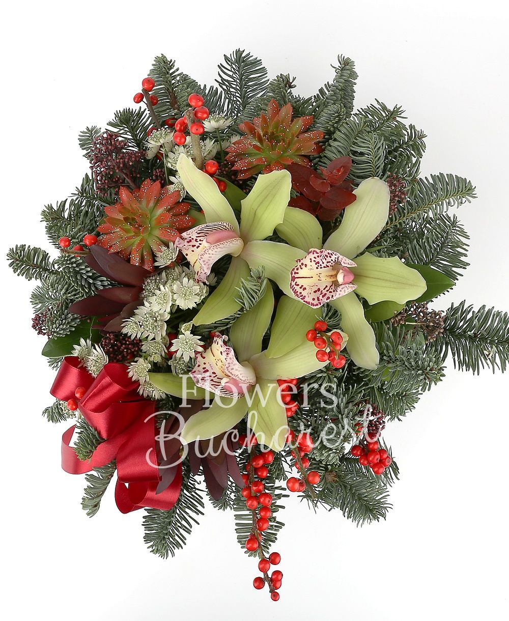 cymbidium, 2 leucadendron, 2 euphorbia, 3 schimia, 2 ilex, 4 astranția, fir