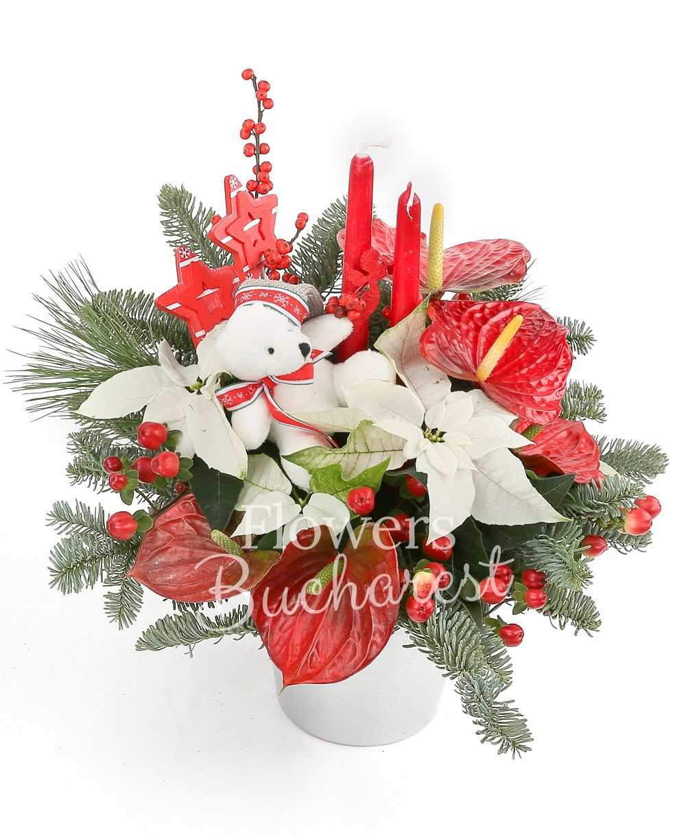 5 mini anthurium, 2 white euphorbia, small teddy bear, 3 red hypericum, 2 candles, fir tree, christmas decorations, vase