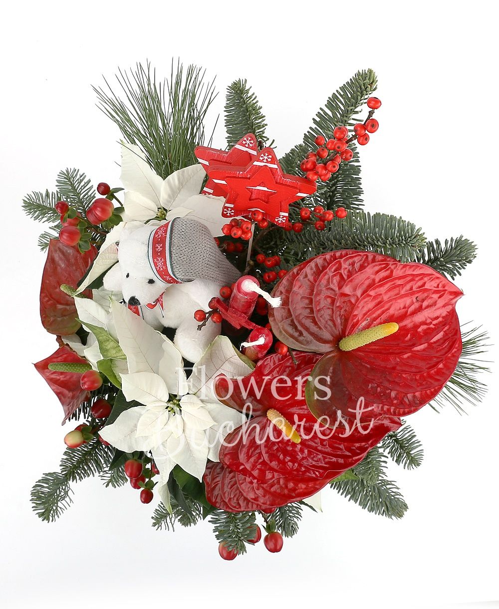 5 mini anthurium, 2 white euphorbia, small teddy bear, 3 red hypericum, 2 candles, fir tree, christmas decorations, vase