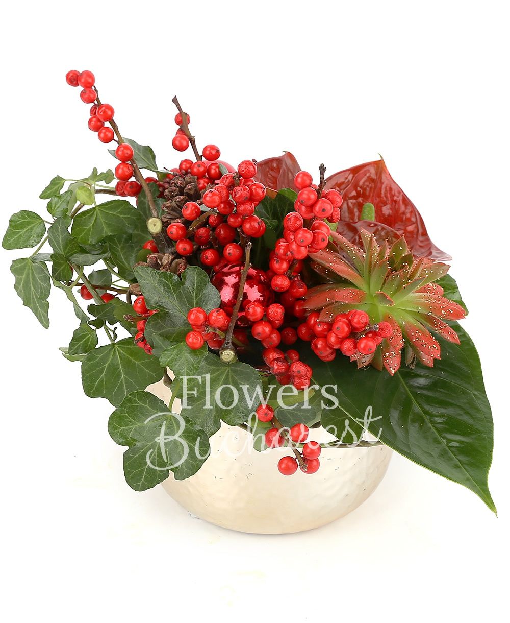 2 ilex, succulent, 2 red anthurium, 2 schimia, hedera, decorations