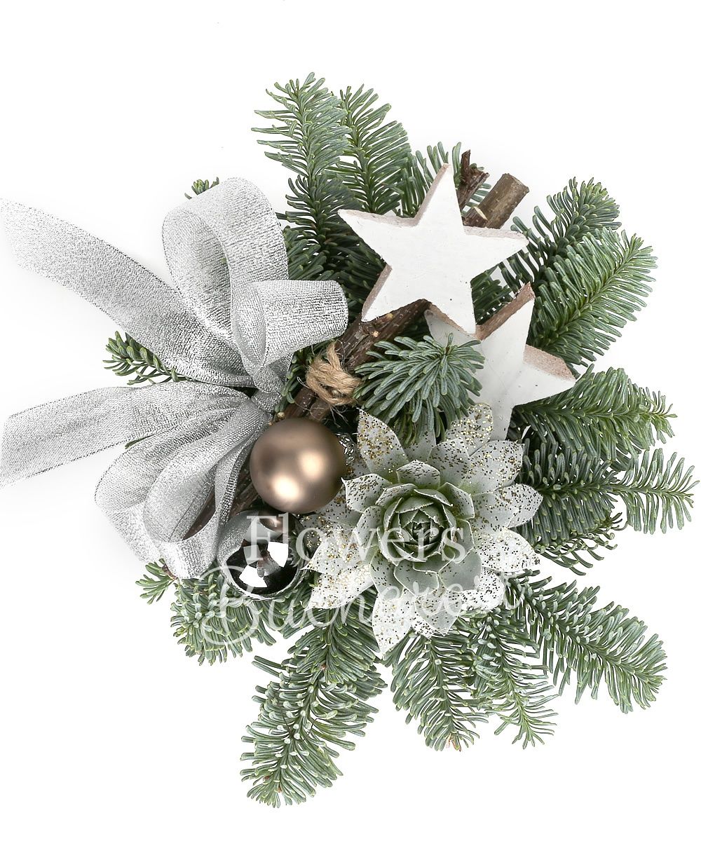 succulent, fir, christmas decorations, ceramic vase