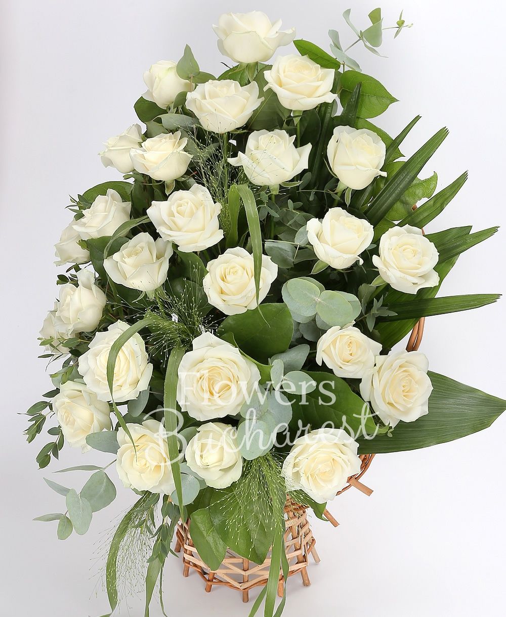 25 white roses, greenery