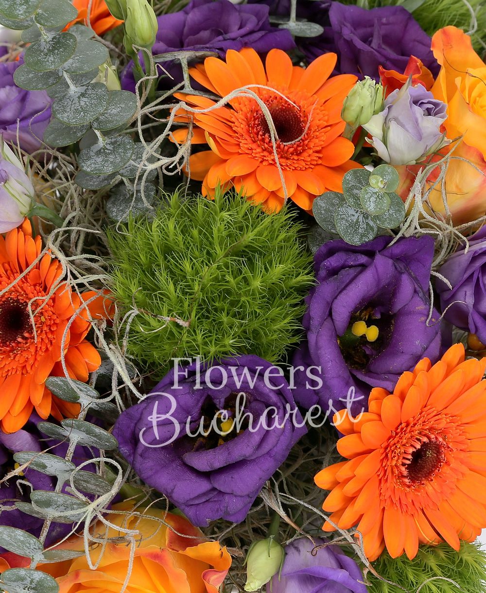 6 orange gerbera, 3 orange roses, 5 mauve lisianthus, 8 green carnations, greenery