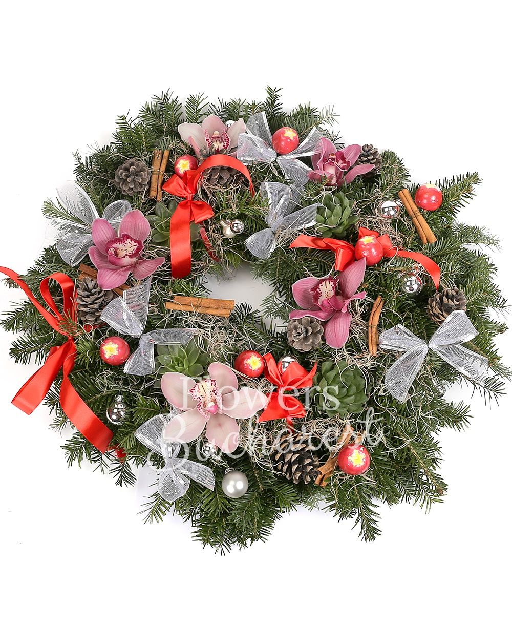 4 succulents, pink cymbidium, fir coronet, greenery, christmas decorations