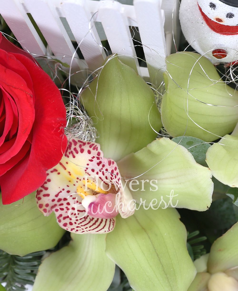 3 red roses, 3 cymbidium, 5 freesias, 1 white lisianthus, waxflower, greenery, silver fir, christmas decorations, basket