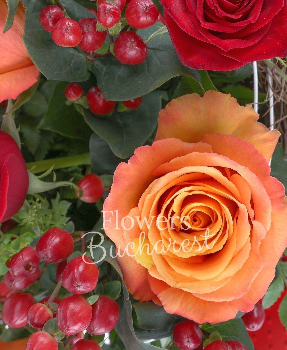 5 red roses, 6 orange roses, 3 hypericum, bupleurum, greenery