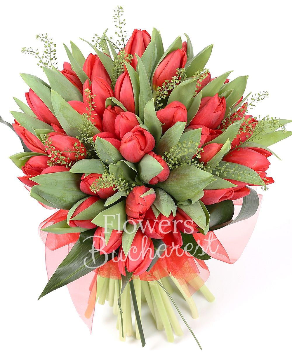 49 red tulips, greenery