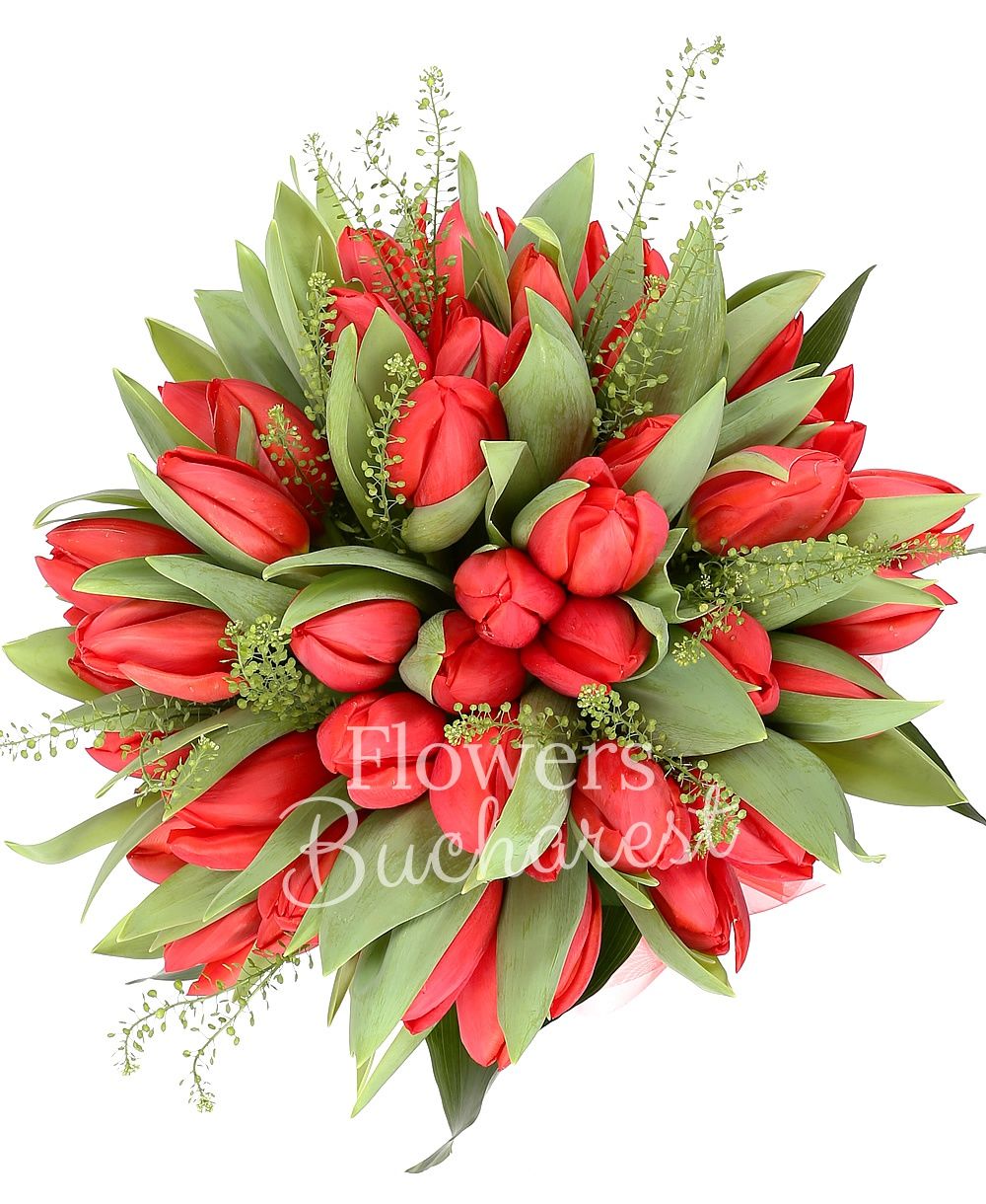 49 red tulips, greenery