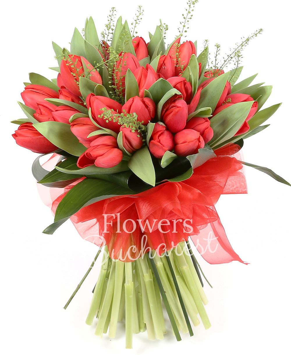 49 red tulips, greenery