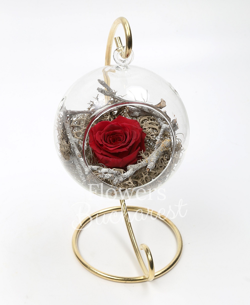 1 cryogenic rose in glass globe