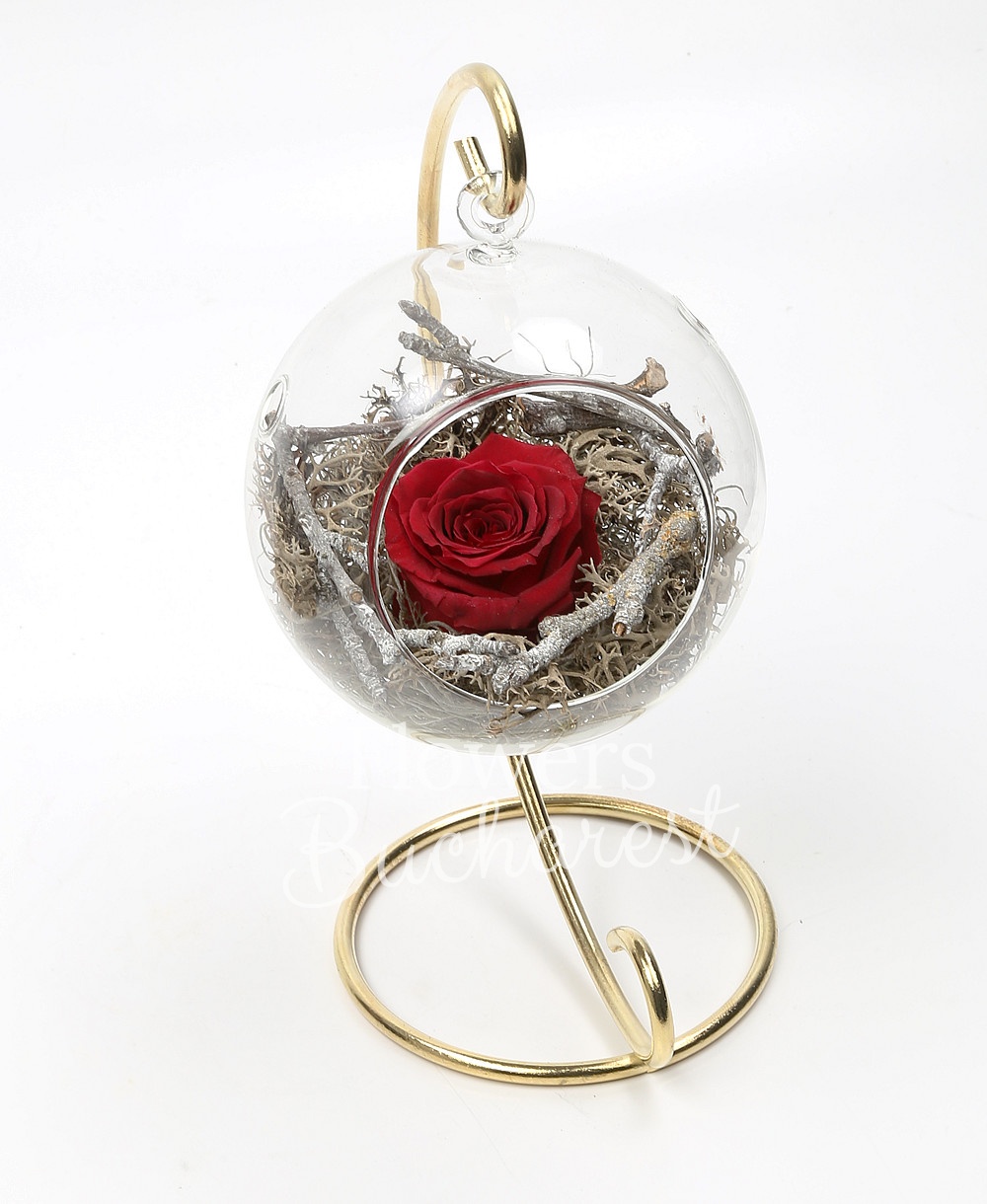 1 cryogenic rose in glass globe