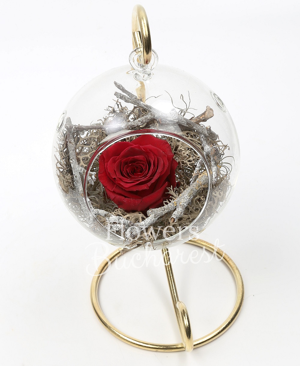 1 cryogenic rose in glass globe