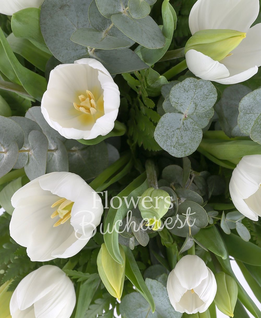 20 white tulips, 25 yellow tulips, greenery