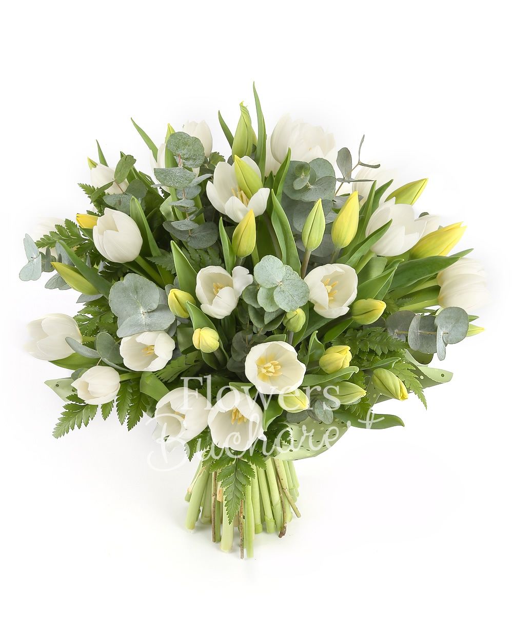 20 white tulips, 25 yellow tulips, greenery