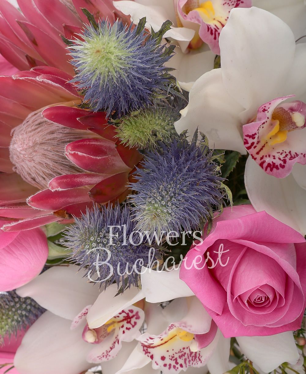 5 cyclam roses, 2 pink gerbera, 2 proteea, 2 leucadendron, 2 eryngium, white cymbidium, greenery