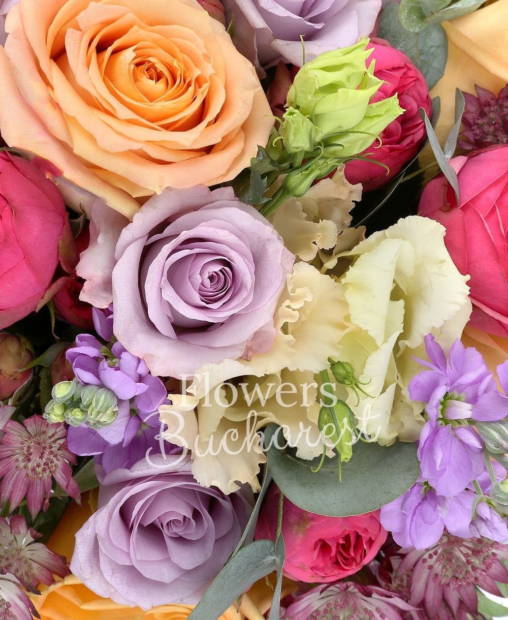 7 piano roses, 7 mauve roses, 5 banana colour roses, 5 mauve matthiola, 3 pink lisianthus, 3 mauve lisianthus, garnet astranția, greenery