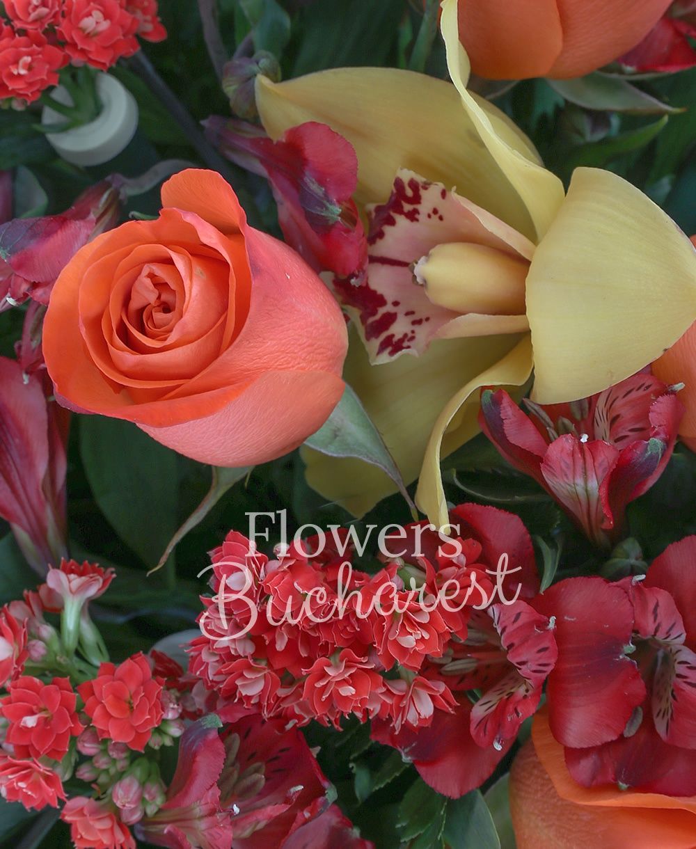 7 orange roses, 7 red alstroemeria, 7 red bouvardia, yellow cymbidium, greenery